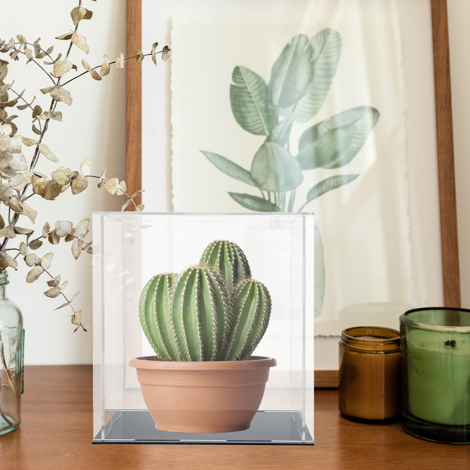 Прозрачный акриловый органайзе – обзор и цена Display Case Acrylic