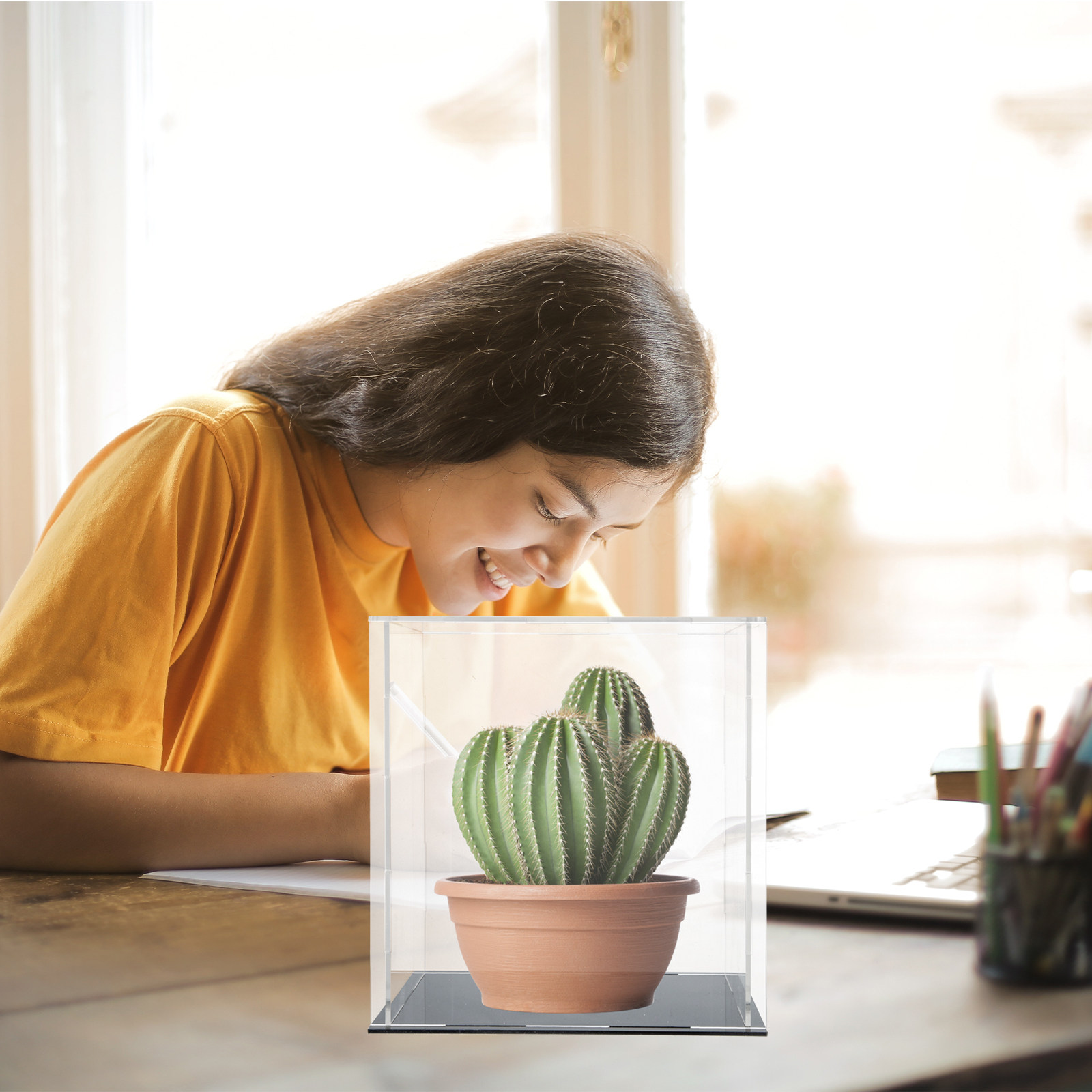Прозрачный акриловый органайзе – обзор и цена Display Case Acrylic